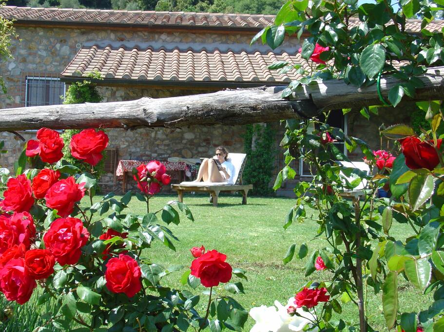 Roses