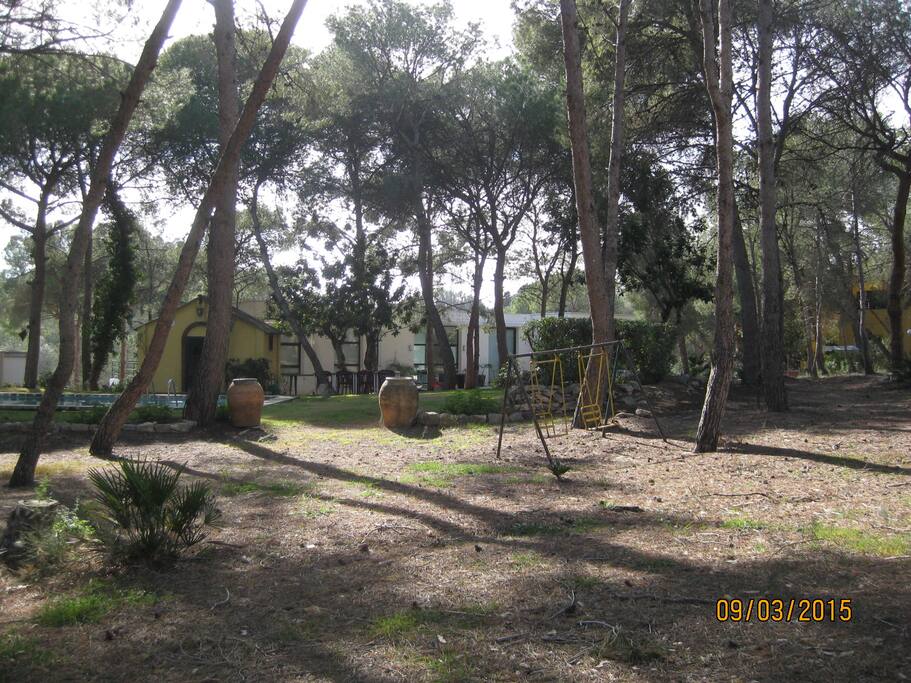 Vista de la casa desde la pinada