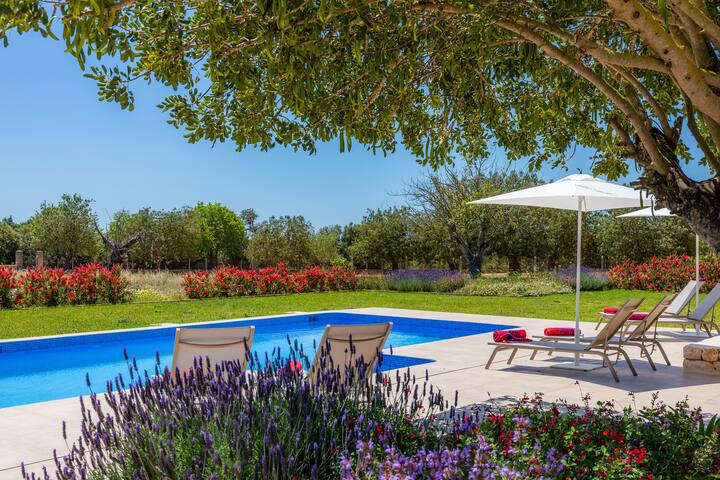 Beautiful modern Country Villa for families gallery image 5