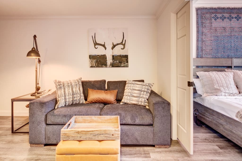 Living Area - Pullout Queen Sofa