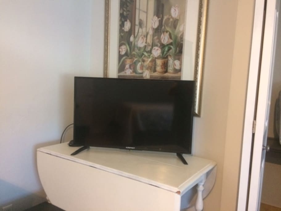 Television with Netflix, Hulu, Amazon Prime