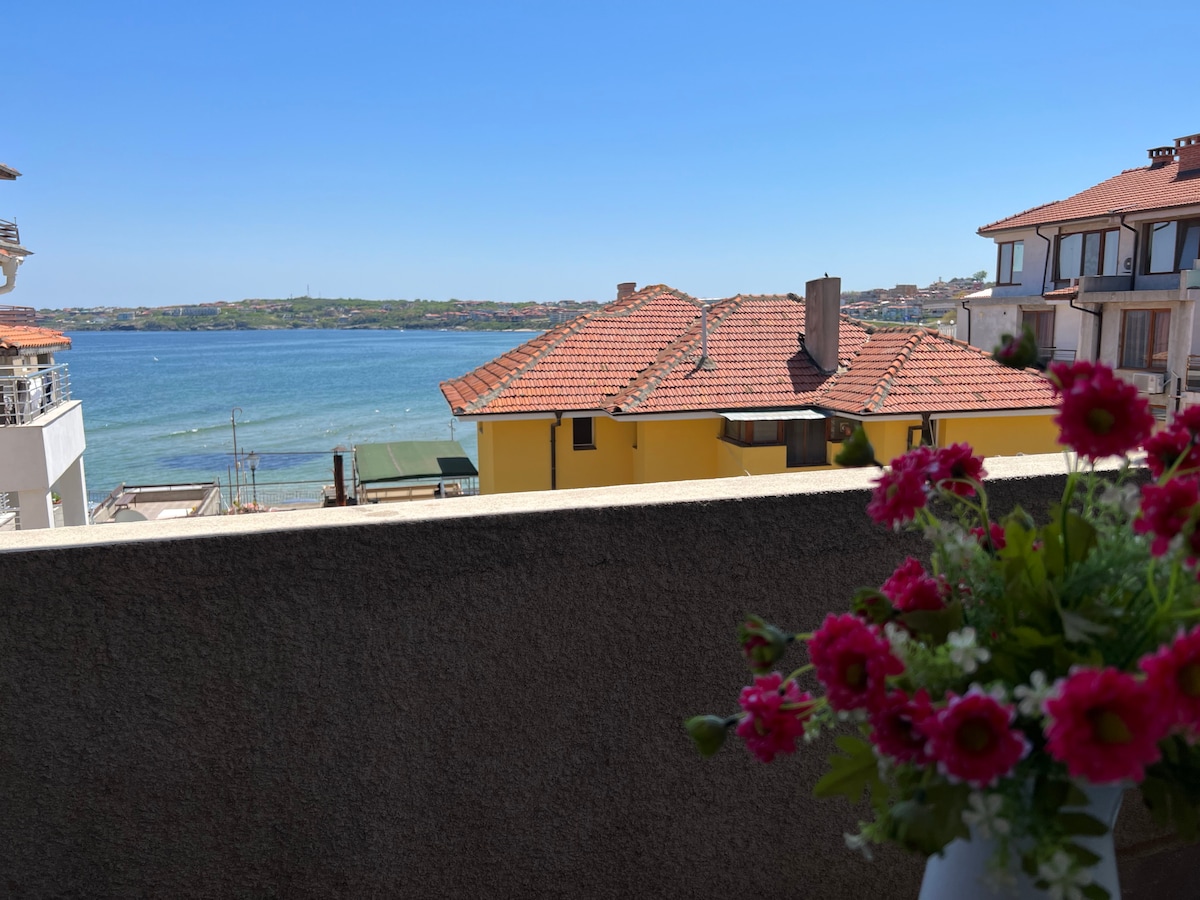 A serene view of the sea is captured from a terrace, with colorful rooftops lining the foreground. Flowering plants in a vase add a touch of color to the railing, contrasting with the clear blue sky and calm waters.