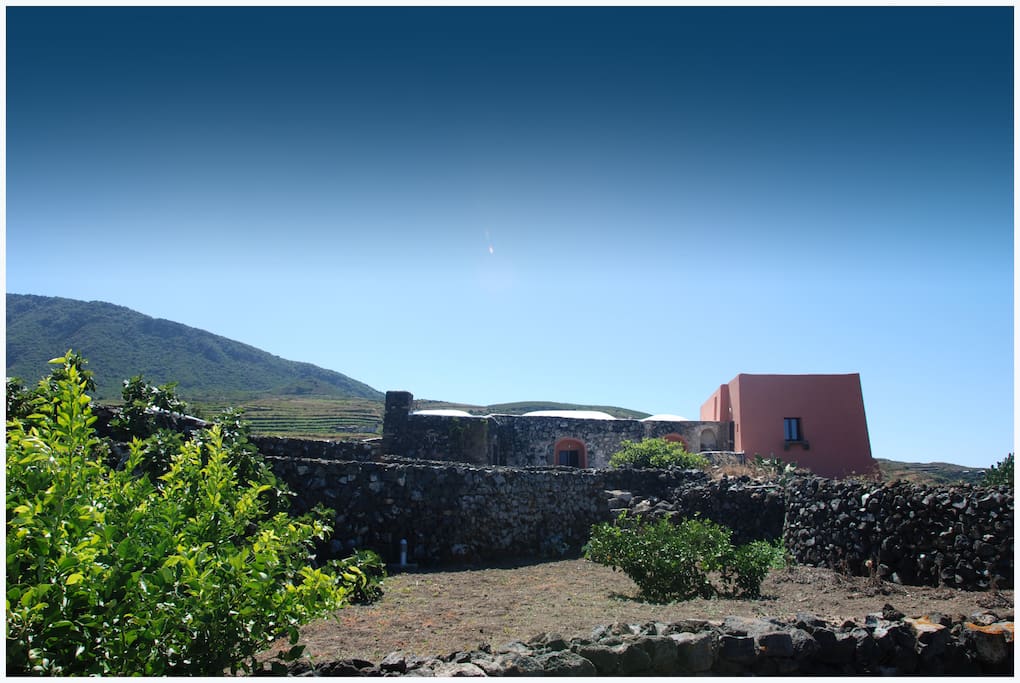 Dammuso con giardino - veduta d'insieme