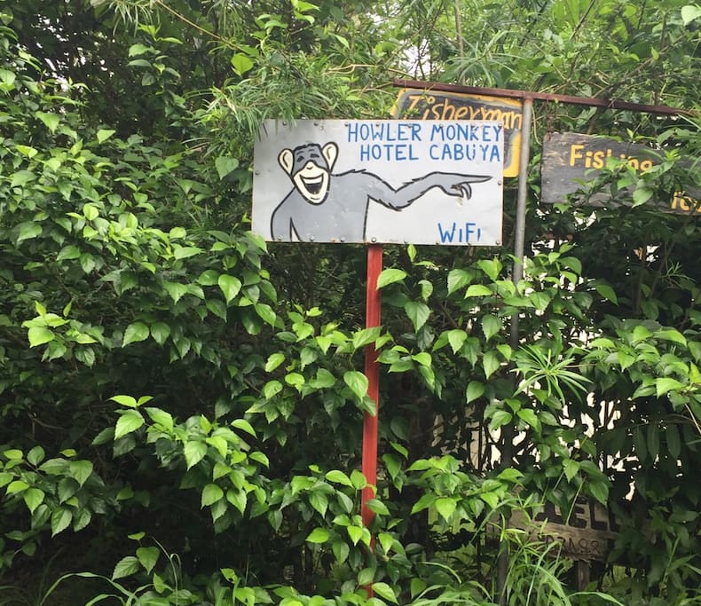 This means you are almost there. You have been following the monkeys