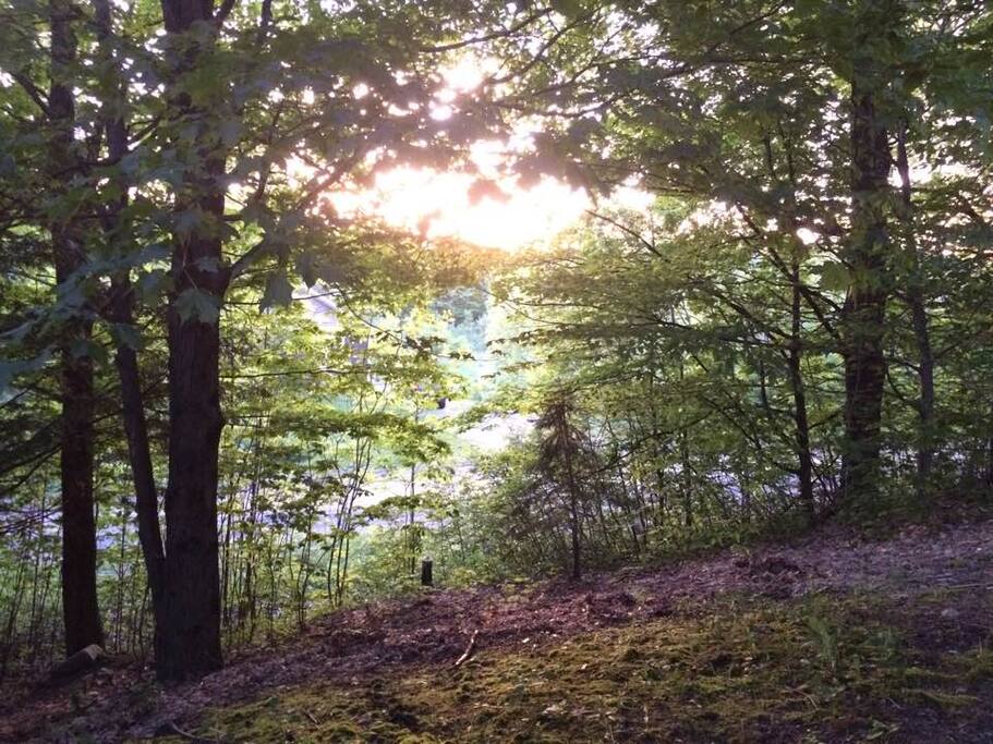 Au milieu de la montagne