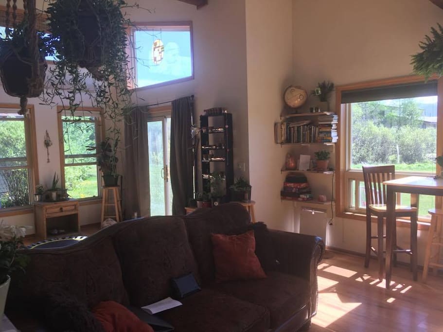 The living space, includes book, games, maps, movies, Wii, xBox360, TV, cable.