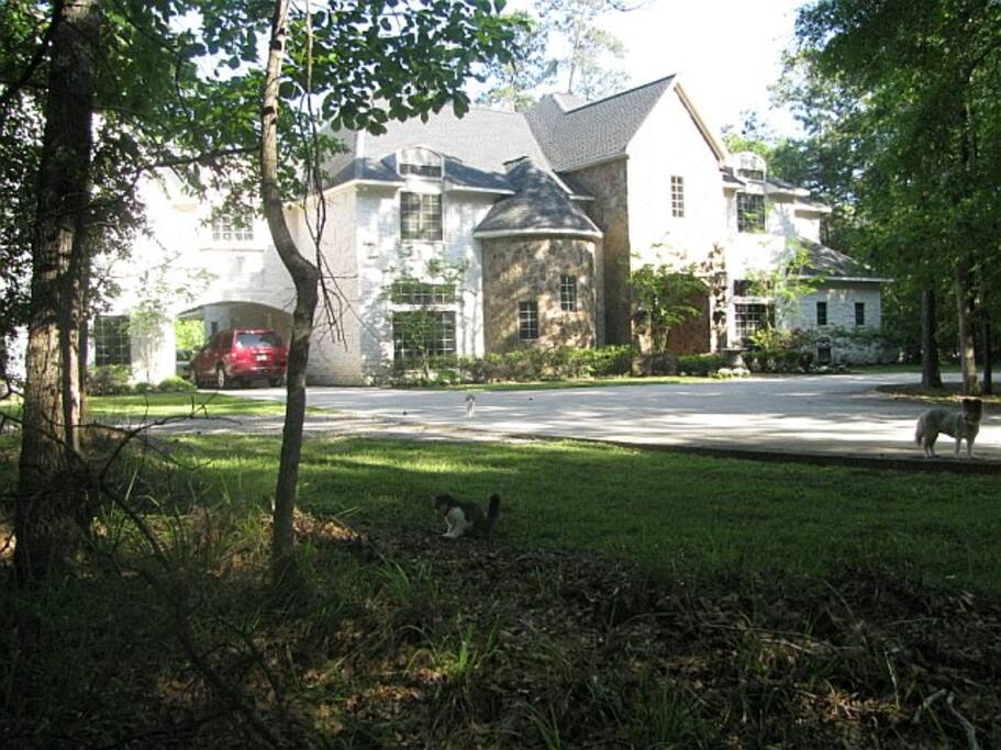 House Looking to North