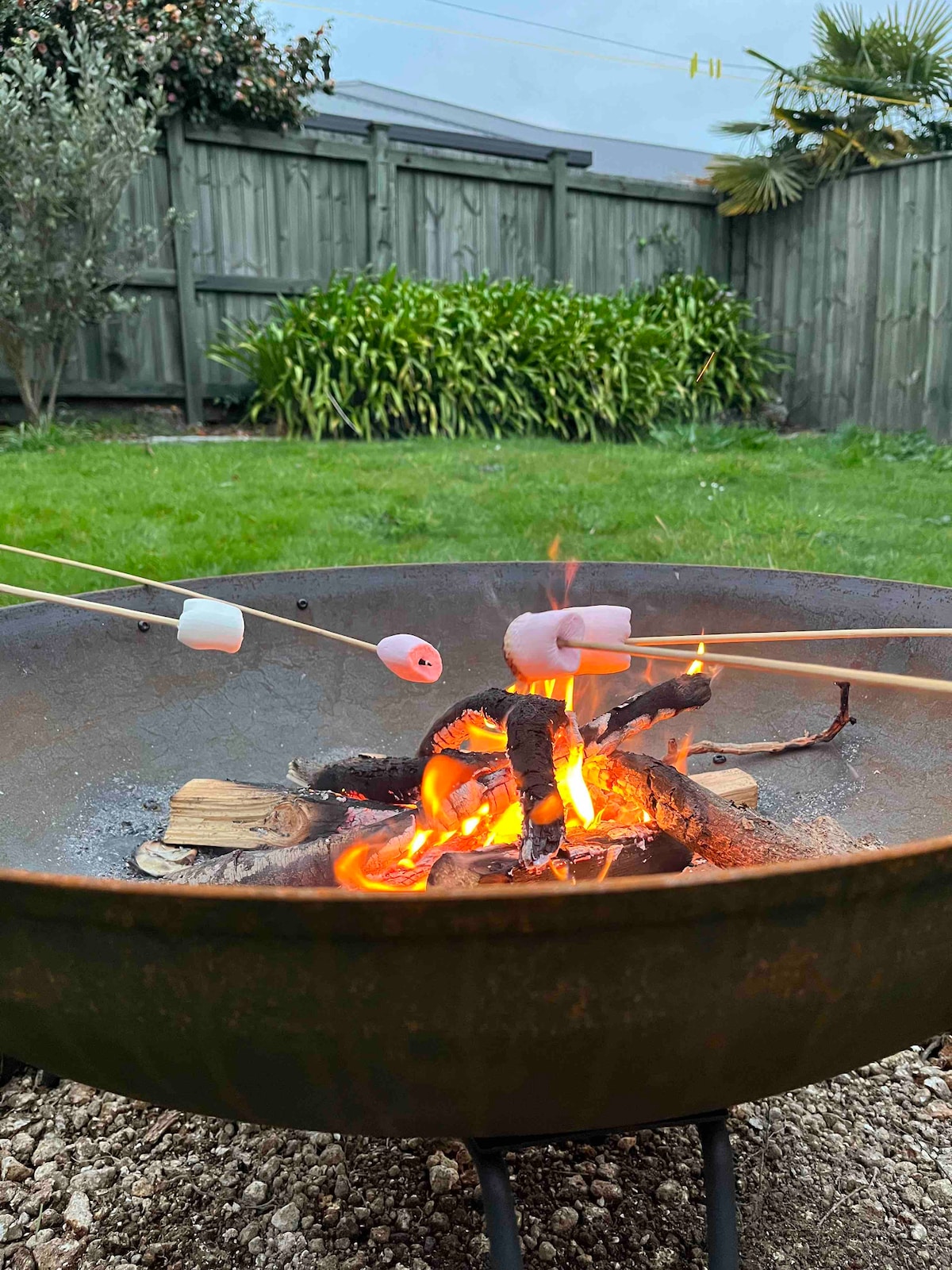 A fire pit is shown in the foreground, with skewers holding marshmallows positioned over the flames. The background features lush green grass and carefully maintained shrubbery, providing a serene outdoor setting for evening gatherings.