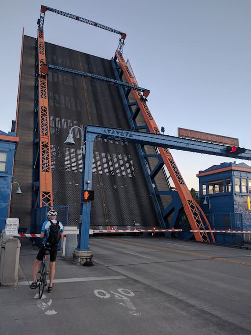 The Fremont Bridge!