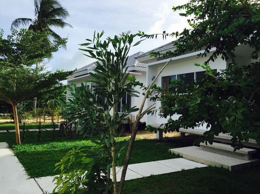 Outside area with a green view.