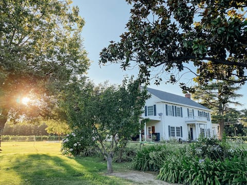 Serene Vineyard Estate on the Sacramento River