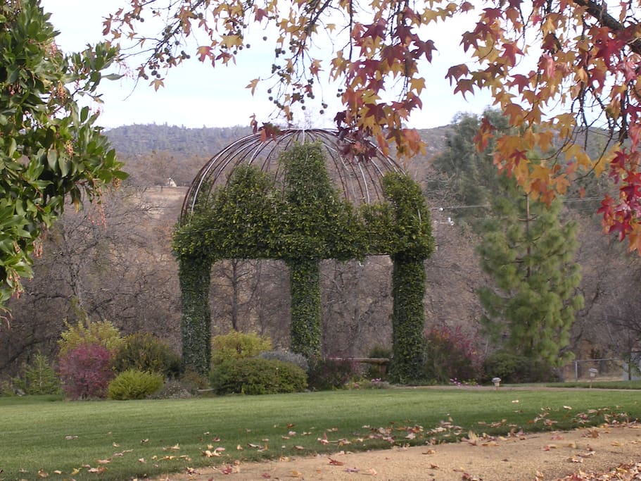 The Pergola