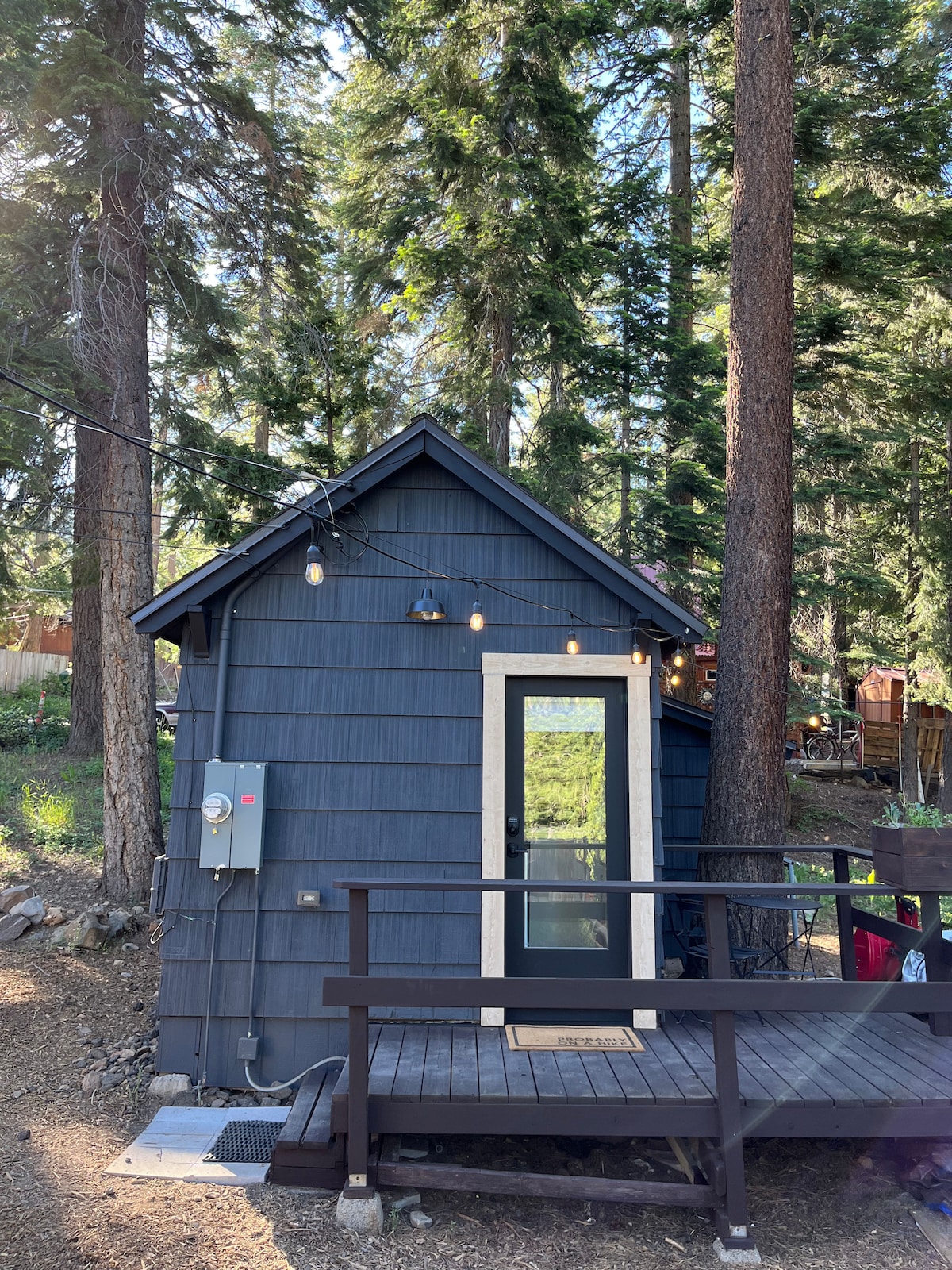 The charming exterior of the cozy cabin is highlighted by its dark blue wooden siding and a welcoming entrance door framed in white. String lights hang above the deck, adding warmth to the outdoor space surrounded by tall trees.