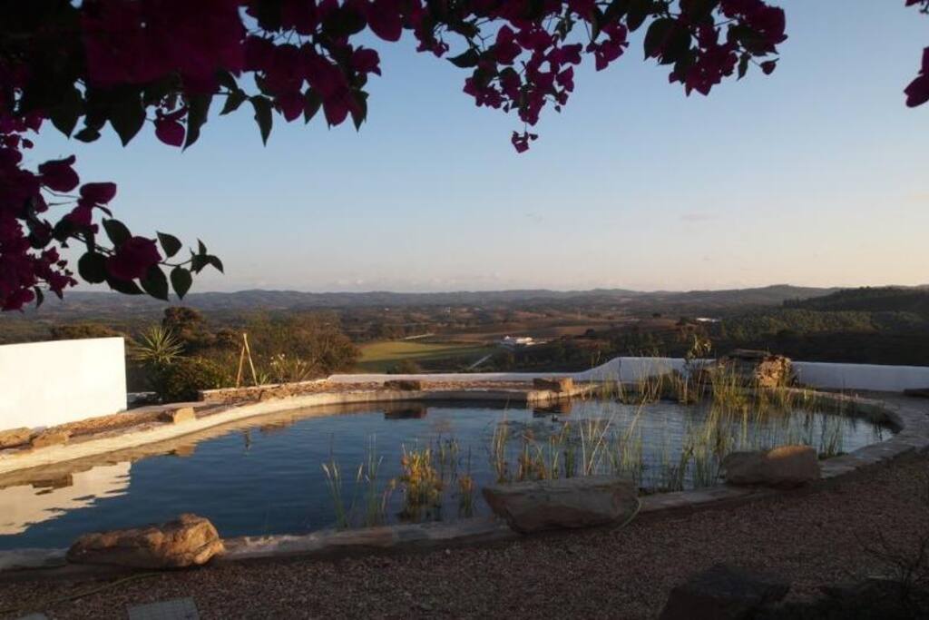 Bio pool, filtered through natural reed and gravel beds.