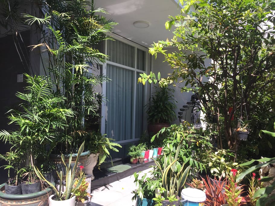 Mini garden