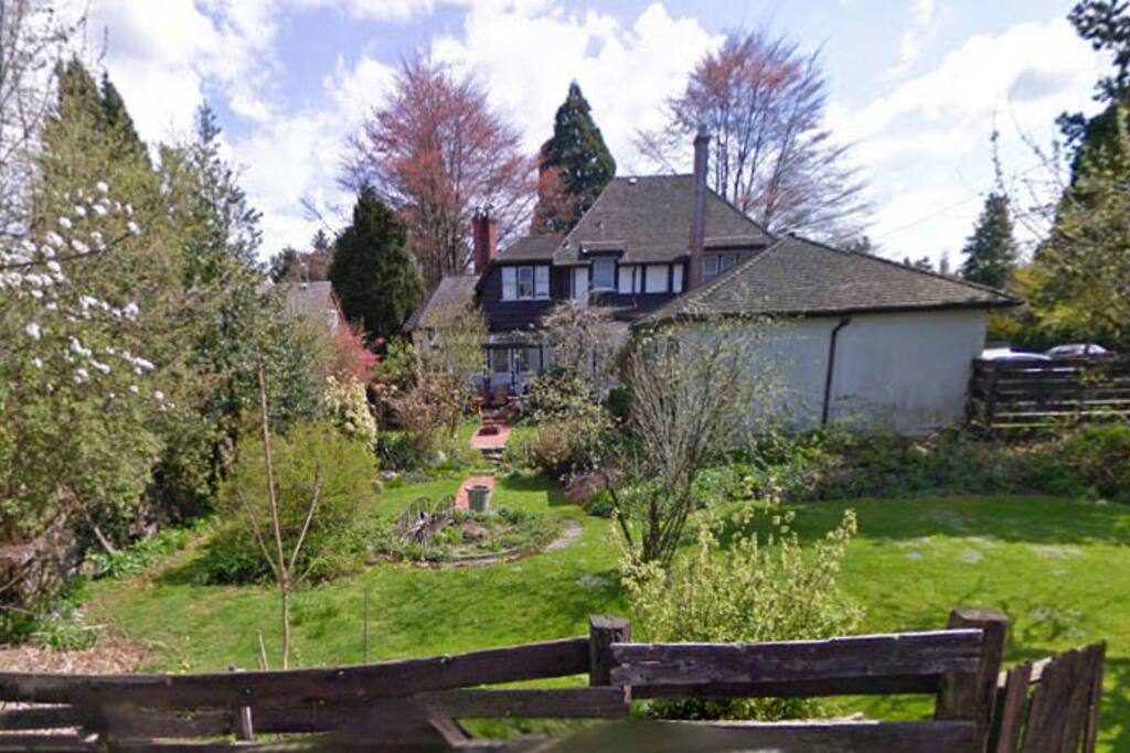 Huge back yard