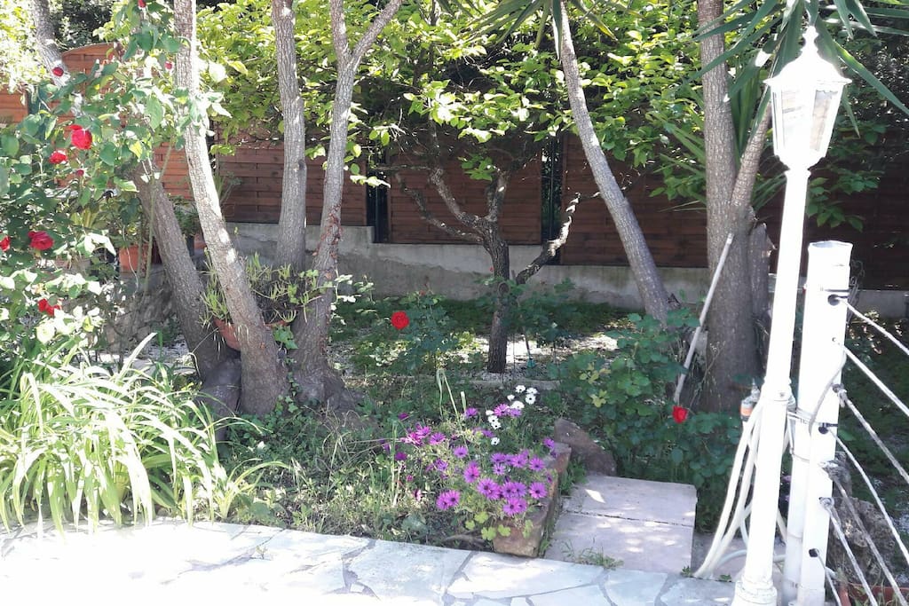 Jardin