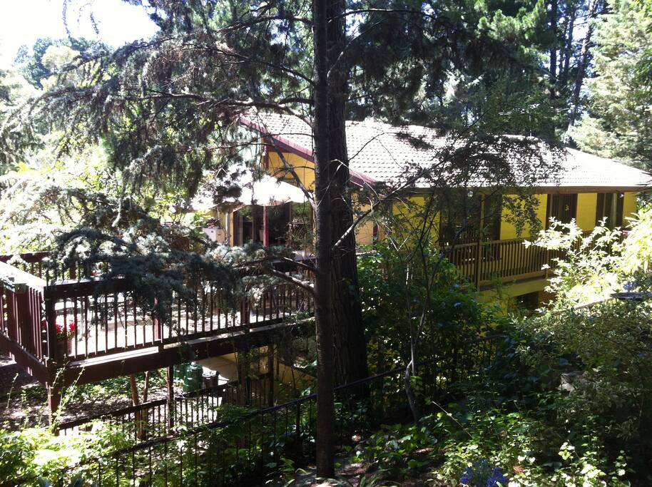 Large deck set high in trees