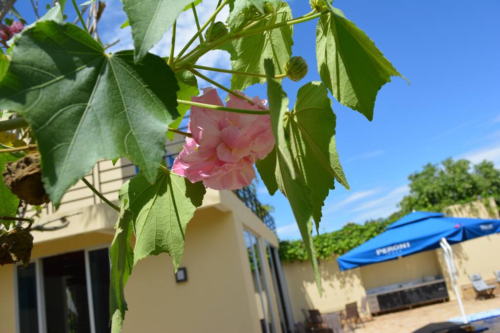 The wonder of nature