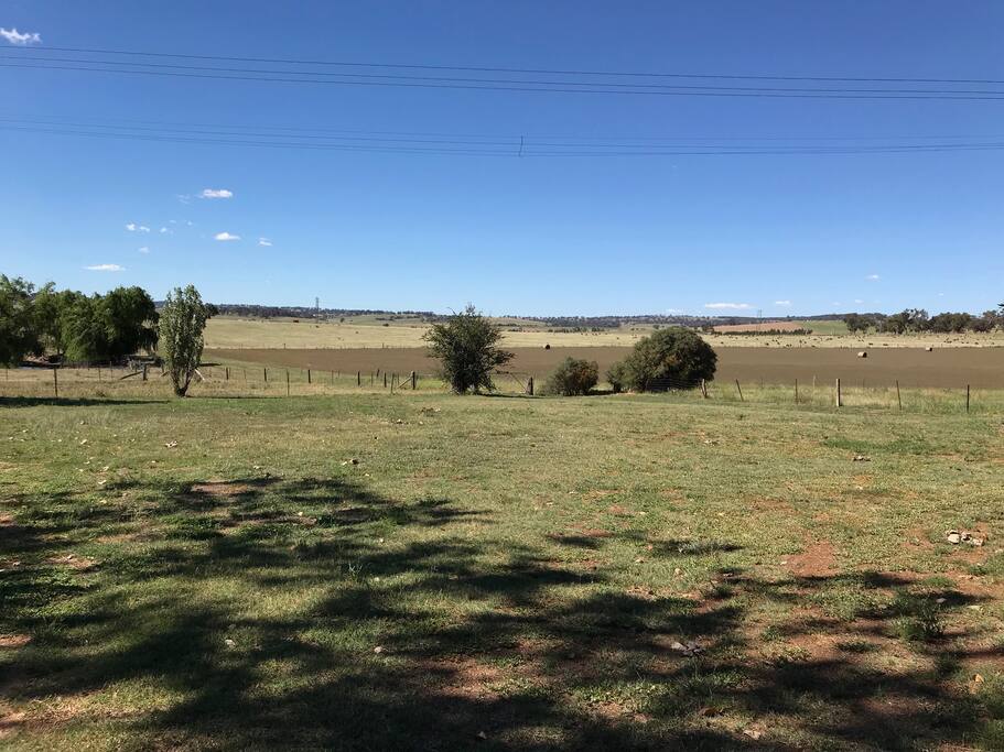 Northern views over the plains