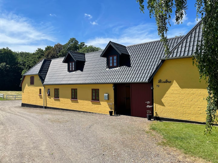 Apartment in scenic surroundings v. Blommenslyst