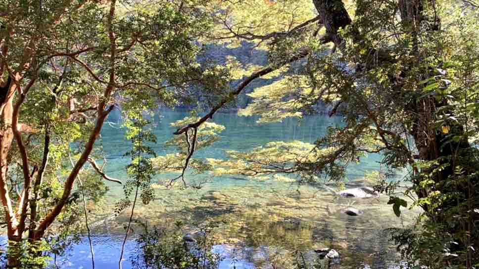 The image captures a serene view of a clear lake, framed by lush greenery. Sunlight filters through the leaves of nearby trees, reflecting off the calm water surface, which reveals pebbles and stones below. The peaceful setting highlights the natural beauty of the surroundings.