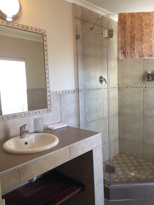Lion Bathroom