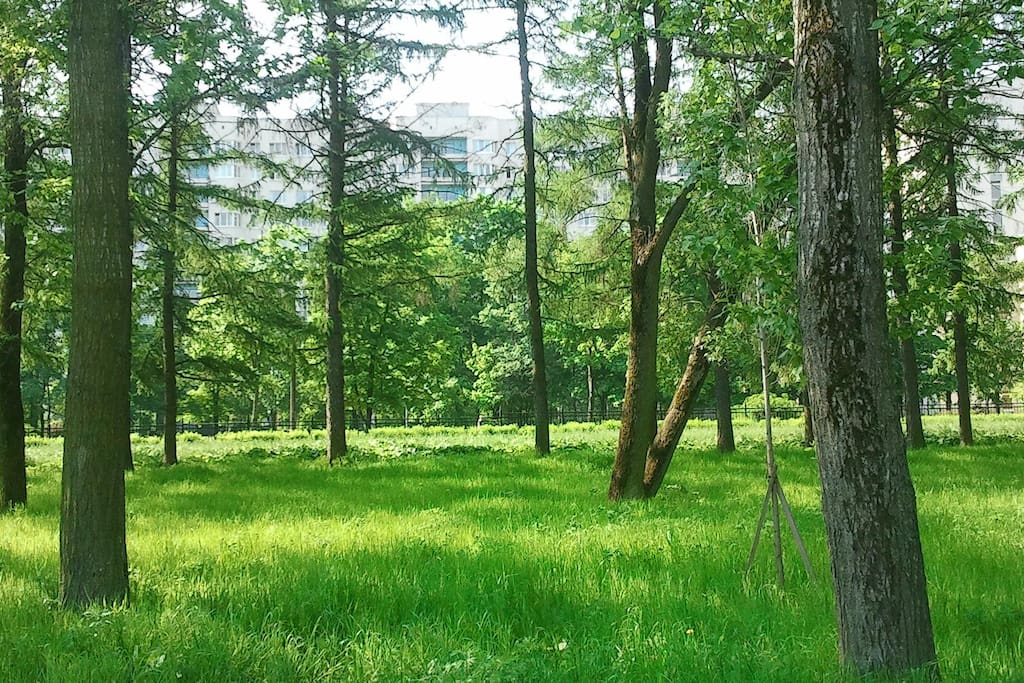 парк внизу у дома