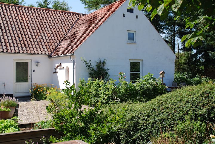 Listing Photo