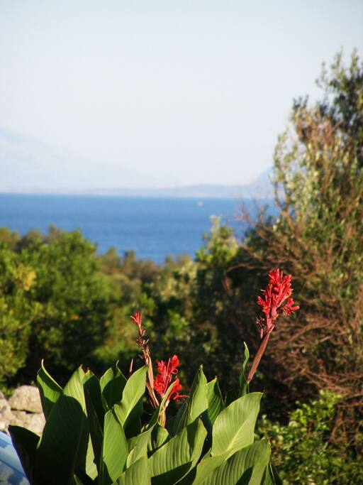 View from terrace