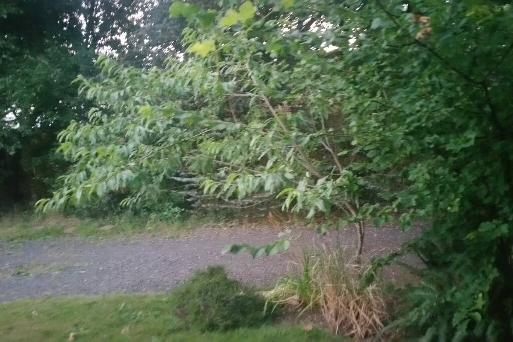 2nd fairly private driveway for rvs or next to tenting