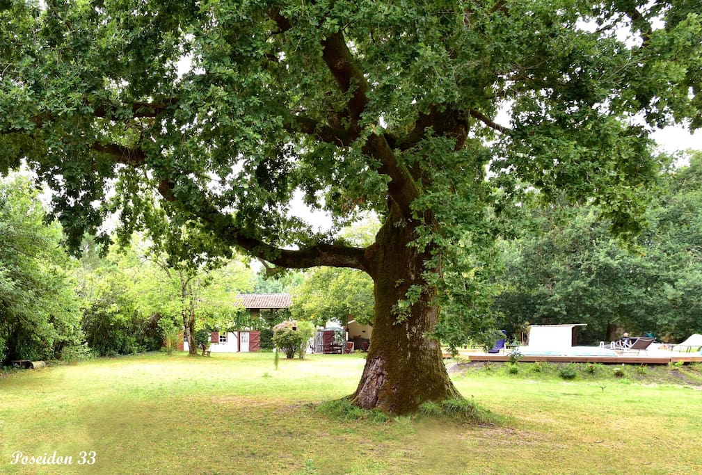 La propriété