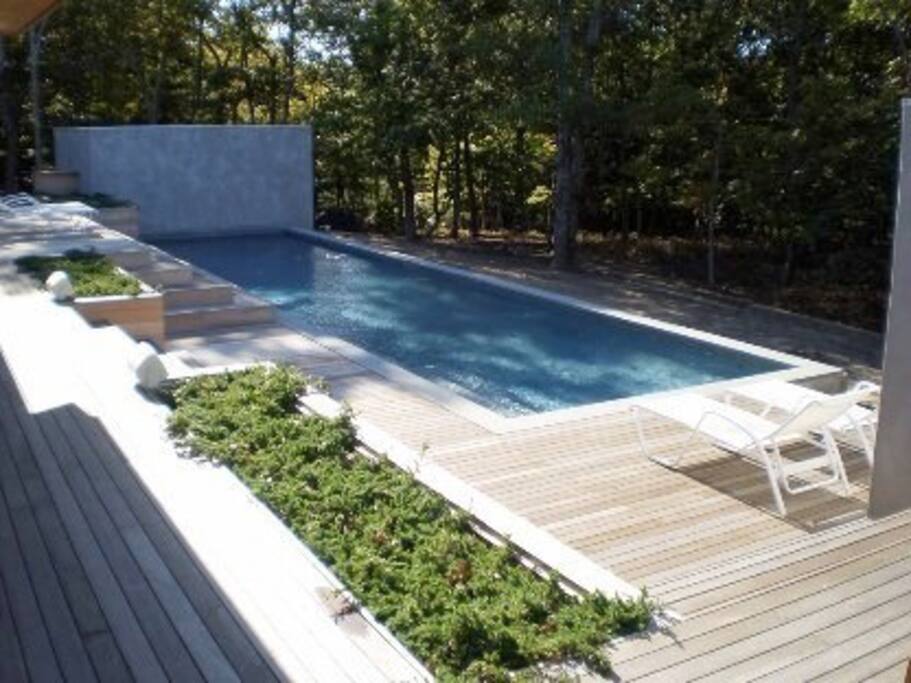 beautiful gunite pool