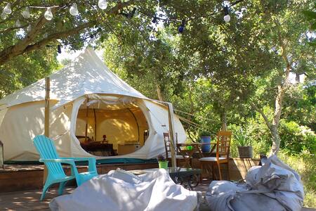 La lotus dans le maquis