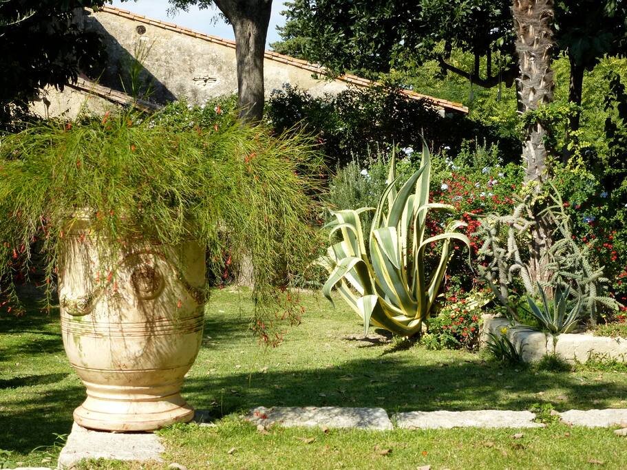 Jardin clos , et arboré ...
