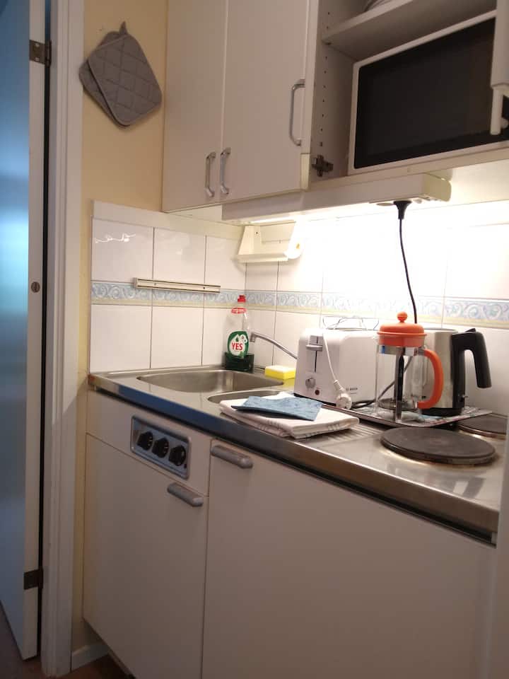 Downtown accommodation for 3 - 4 persons. Private kitchenette