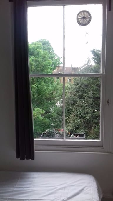 Bedroom view