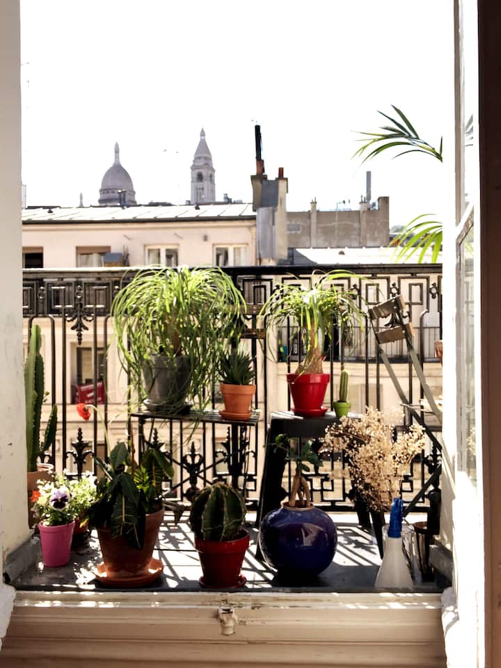 Parisian apartment - balcony overlooking Sacré Cœur