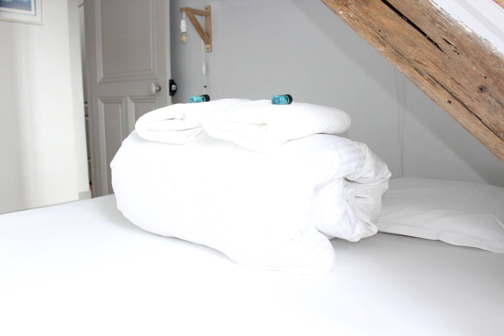 Chambre 1 - Bedroom 1