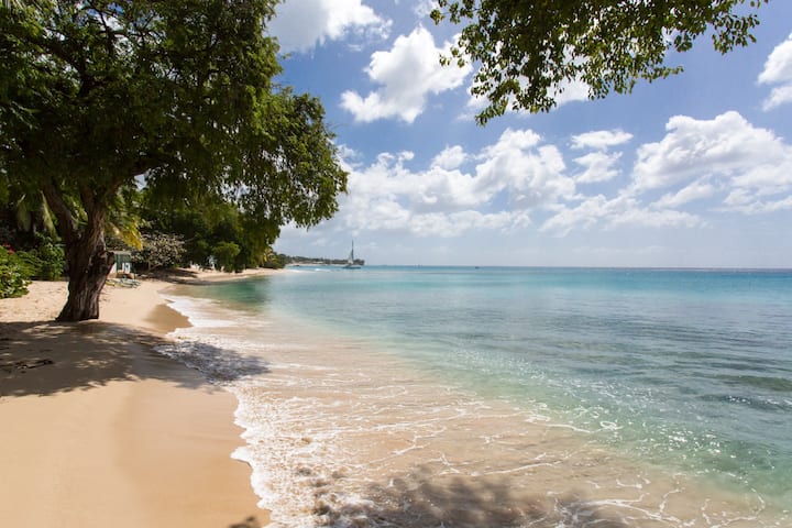 Luxury Beach-Access Apartment