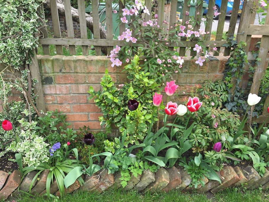 Beautiful spring flowers create colour and wildlife habitats .