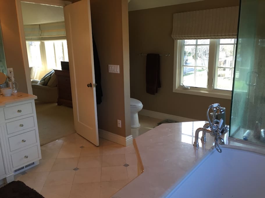 Master Bathroom, separate spa tub and shower with dual shower heads