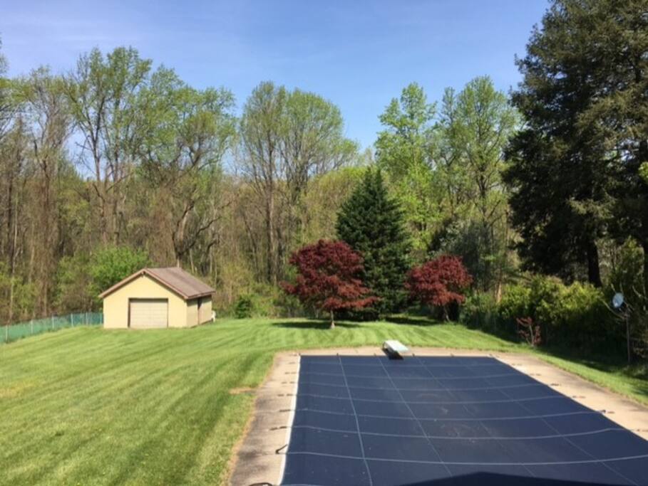 Large Back Yard