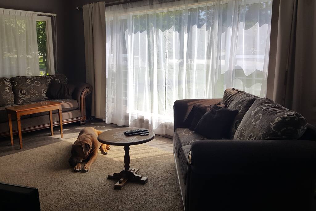 Cozy living room, and yes the dog comes with it