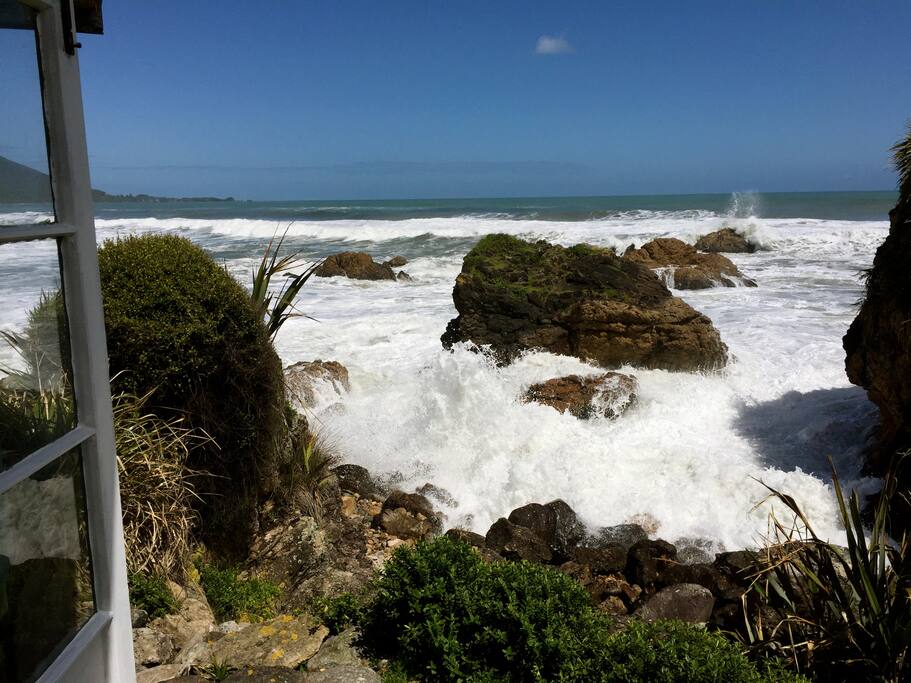 View from the back door step during a king tide