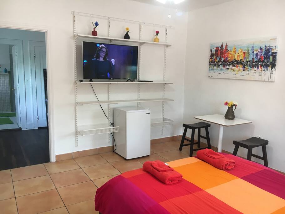 A television and small fridge
