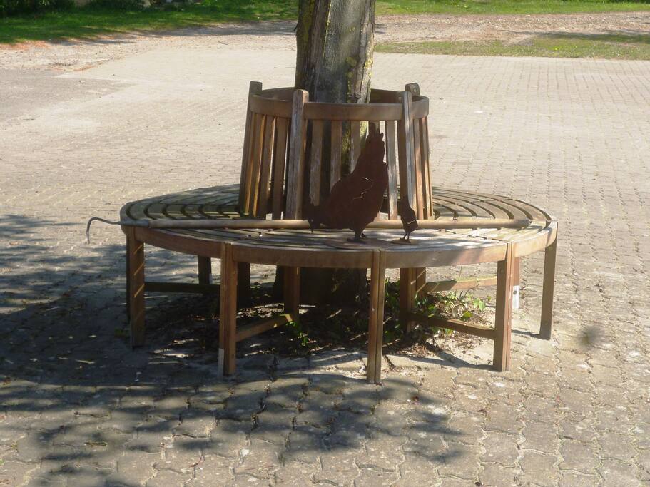Baumbank im Hof