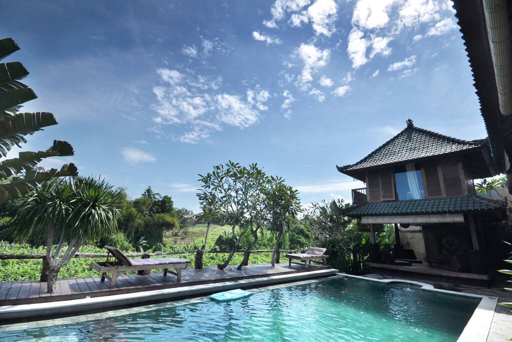 swimming pool with garden view