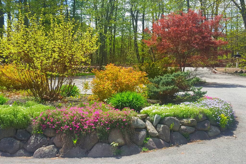 Spring Front of House