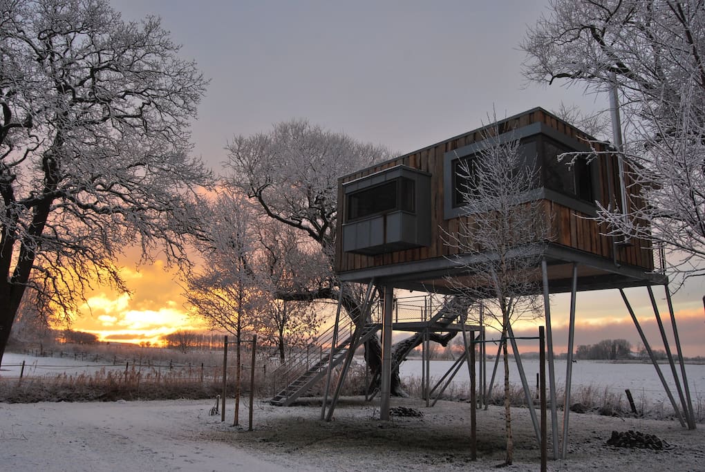 Baumhaus Jojo im Winter